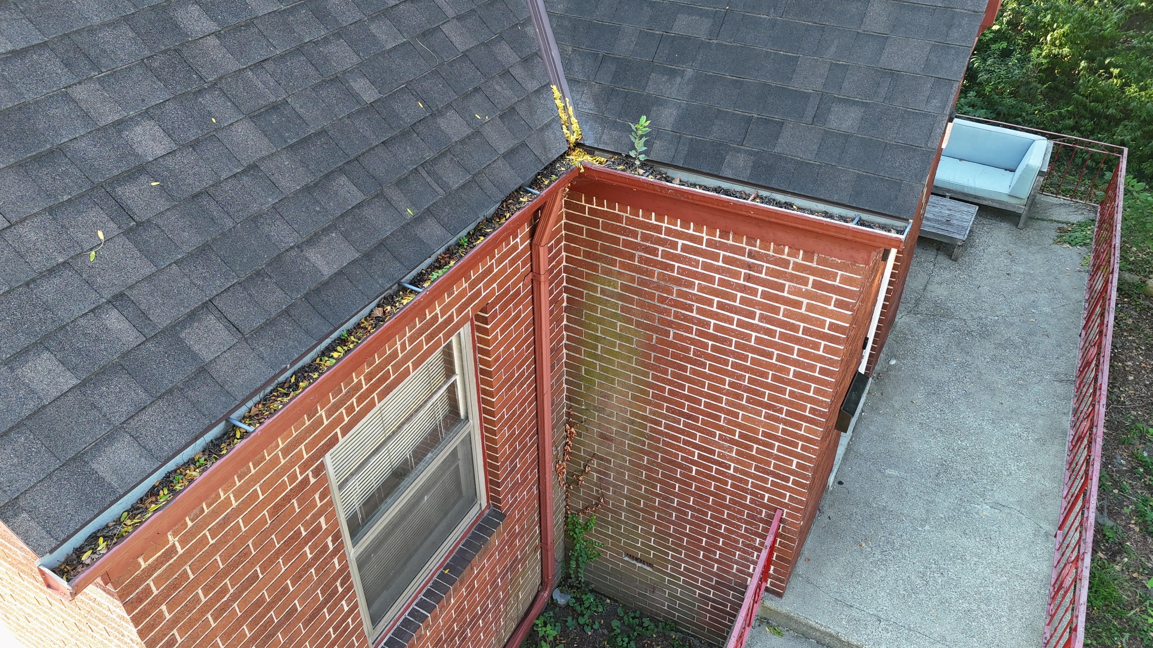 Clogged gutters full of debris
